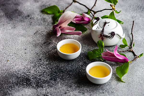 포토 JPG 해외이미지 꽃 회색배경 사람없음 나뭇가지 찻잔 찻주전자 해외202007 해외포토 나무 식물 백그라운드 주전자 잔 회색 파일형식