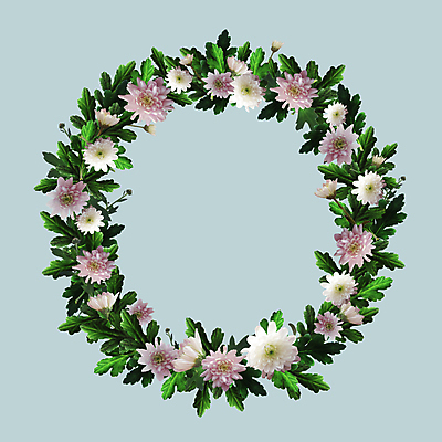 포토 JPG 해외이미지 식물 디자인 꽃잎 꽃 분홍색 결혼 백그라운드 잎 꽃무늬 일러스트 사람없음 장식 초록색 파란색 정원 화환 공백 벚꽃 흰색 나뭇가지 원형 신용카드 데이지 엽서 구성 카피스페이스 현실 해외202007 해외포토 도형 나무 컬러 무늬 이벤트 금융 편지 파일형식