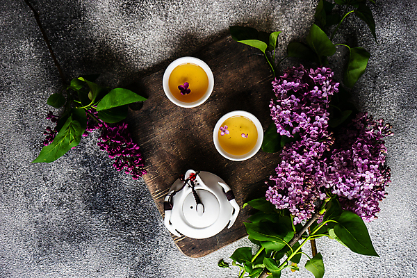 포토 JPG 해외이미지 꽃 음료 잎 회색배경 사람없음 하이앵글 찻잔 찻주전자 해외202007 해외포토 식물 뷰포인트 백그라운드 주전자 잔 회색 파일형식