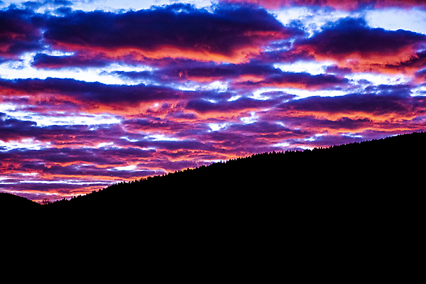 포토 JPG 해외이미지 나무 구름 실루엣 야생동물 여행 오렌지 벽지 하늘 휴가 산 풍경 사람없음 야외 빨간색 파란색 빛 햇빛 태양 농경지 평화 일출 환경 침묵 일몰 이탈리아 산책 트래킹 하이킹 자유 흰색 땅 고도 그림 오르기 알프스 천국 생태학 웅장함 절정 수평선 해외202007 해외포토 자연요소 식물 동물 교육 유럽 컬러 컨셉 과일 모션 레저 휴식 촬영기법 농장 노을 소리 파일형식