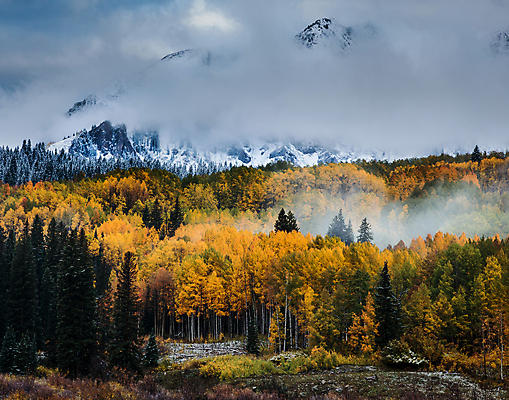 포토 JPG 해외이미지 구름 여행 잎 밭 오렌지 자연 하늘 날씨 산 풍경 사람없음 야외 초록색 파란색 태양 노란색 일출 달러 일몰 가을 흰색 붓 소나무 황금 씻기 숲 언덕 지역 드라마 내추럴 절정 콜로라도 화강암 해외202007 해외포토 자연요소 나무 식물 계절 컬러 돈 농업 과일 노을 미국 청결 암석 생태계 파일형식