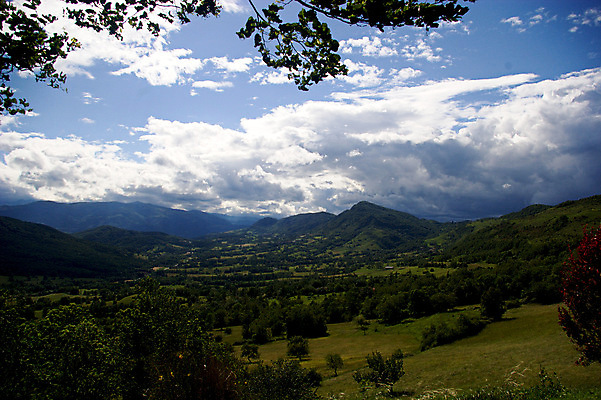 포토 JPG 해외이미지 나무 구름 유럽 여행 잎 밭 자연 하늘 휴가 풍경 사람없음 야외 초록색 여름 맑음 프랑스 시골 지역 남쪽 프랑스어 해외202007 해외포토 자연요소 식물 문자 계절 나라 컬러 농업 날씨 방향 생태계 파일형식