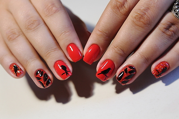 포토 JPG 해외이미지 손 여자 손가락 근접촬영 신체부위 손톱관리 네일아트 손톱 해외202007 해외포토 뷰포인트 사람 뷰티 파일형식