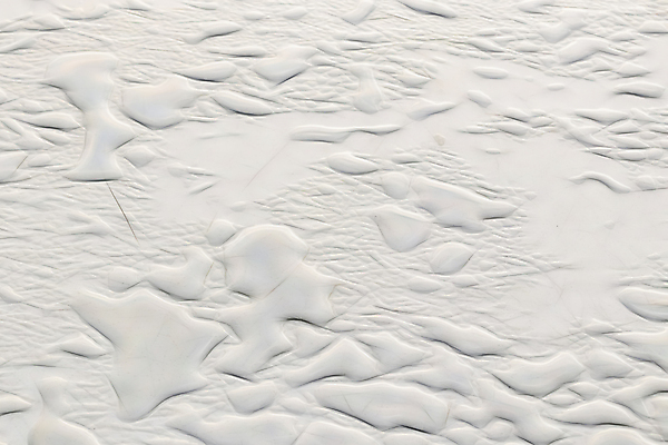 포토 JPG 해외이미지 식물 디자인 계절 공원 벽 백그라운드 컨셉 잎 패턴 자연 벽지 표면 추상 바닥 미술 잔디 사람없음 야외 장식 여름 빛 컬러풀 햇빛 환경 정원 성장 신선 닫기 유기농 질감 보케 부드러움 내추럴 블러 생태학 효과 해외202007 해외포토 웰빙 공공시설 교육 컬러 무늬 모션 문화예술 태양 감각 생태계 파일형식