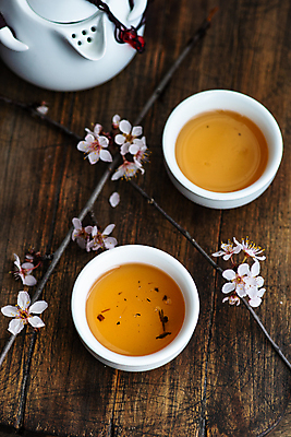 포토 JPG 해외이미지 사람없음 하이앵글 벚꽃 나뭇가지 찻잔 찻주전자 해외202007 해외포토 나무 꽃 뷰포인트 주전자 잔 파일형식