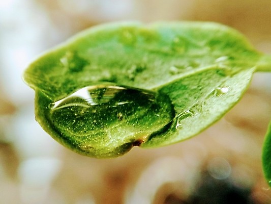 포토 JPG 해외이미지 모양 계절 물결 파도 백그라운드 모션 자연 표면 날씨 추상 사람없음 물 파란색 빛 반사 환경 거품 젖음 추위 흰색 물방울 신선 원형 투명 액체 닫기 떨어짐 이슬 빗방울 순수 내추럴 고립 잔물결 터키석 스플래쉬 해외202007 해외포토 자연요소 도형 바다 컬러 컨셉 무늬 비_날씨 보석 생태계 파일형식