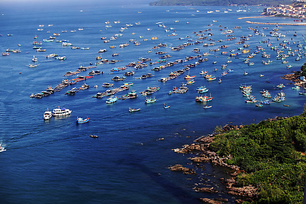 포토 JPG 해외이미지 나무 교통수단 바다 여행 백그라운드 요트 자연 하늘 아침 휴가 사람없음 가로 물 야자수 마을 항구 타운 부둣가 석호 열대기후 조감도 해외202007 해외포토 주간 자연요소 식물 교통 배_교통 교통시설 도시 생태계 파일형식