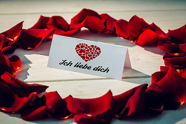 포토 JPG 해외이미지 꽃잎 발렌타인데이 사랑 사람없음 쪽지 하트 편지 해외202007 해외포토 모양 꽃 감정 데이이벤트 파일형식