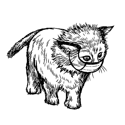 포토 JPG 해외이미지 새끼 포유류 털 가면 사람없음 옆모습 반려동물 고양이 가축 우정 바이러스 낙서 질병 스케치 콧수염 그림 꼬리 귀 손그림 연극 위기 현실 해외202007 해외포토 동물 뷰포인트 의학 문화예술 수염 미술 신체부위 친구 파일형식