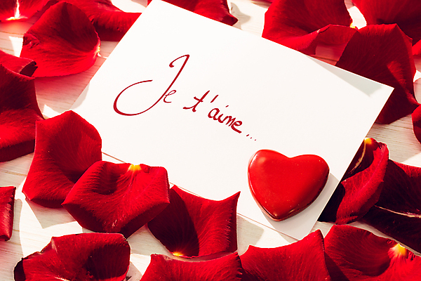 포토 JPG 해외이미지 꽃잎 발렌타인데이 사랑 근접촬영 사람없음 장미 쪽지 하트 편지 해외202007 해외포토 모양 꽃 감정 뷰포인트 데이이벤트 파일형식