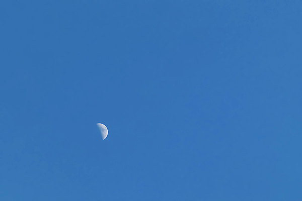 포토 JPG 해외이미지 구름 계절 백그라운드 패턴 자연 벽지 하늘 날씨 추상 안테나 파노라마 미술 풍경 사람없음 야외 여름 파란색 빛 햇빛 태양 일출 환경 맑음 침묵 일몰 봄 흰색 분위기 정상 장면 부드러움 스카이라인 내추럴 수평선 해외202007 해외포토 자연요소 컬러 컨셉 무늬 통신 문화예술 촬영기법 노을 소리 감각 생태계 파일형식