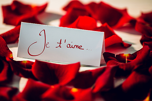 포토 JPG 해외이미지 꽃잎 발렌타인데이 사랑 근접촬영 사람없음 장미 쪽지 편지 해외202007 해외포토 꽃 감정 뷰포인트 데이이벤트 파일형식