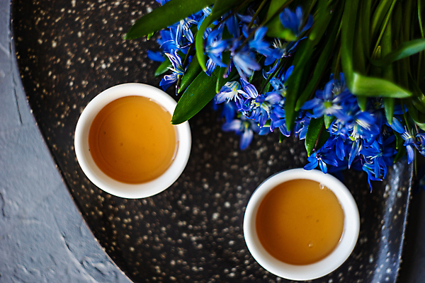 포토 JPG 해외이미지 꽃 사람없음 하이앵글 찻잔 해외202007 해외포토 식물 뷰포인트 잔 파일형식