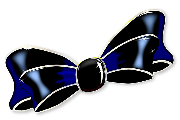 포토 JPG 해외이미지 리본 크리스마스 일러스트 선물 사람없음 그래픽 장식 한개 검은색 직물 생일 실크 묶기 활 흰배경 매듭 포장소품 카피스페이스 해외202007 해외포토 1 기념일 컬러 백그라운드 포장 모션 공백 흰색 오브젝트 포장재료 파일형식