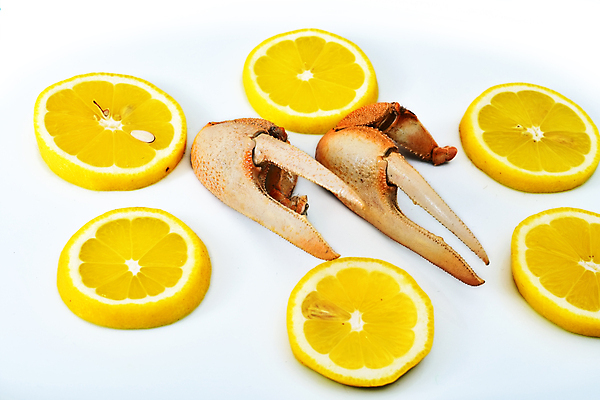 포토 JPG 해외이미지 동물 전통 음식 바다 조각 다이어트 조개 건강 갑각류 요리 사람없음 식당 게 껍질 신선 스페인 맛 지중해 레몬 해산물 준비 내추럴 발톱 삶기 식품점 안달루시아 집게발 핸드메이드 맛있는 해외202007 해외포토 유럽 컨셉 과일 발 어패류 상점 파일형식