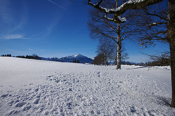 포토 JPG 해외이미지 나무 계절 도로 여행 백그라운드 크리스마스 겨울 자연 하늘 동화 날씨 산 파노라마 풍경 사람없음 야외 목재 파란색 태양 냉동 추위 안개 흰색 소나무 숲 스위스 언덕 서리 알프스 트랙 전나무 눈보라 내추럴 산악지대 방법 눈내림 카피스페이스 해외202007 해외포토 자연요소 식물 기념일 유럽 길 컬러 재료 교통시설 눈_날씨 촬영기법 공백 생태계 파일형식