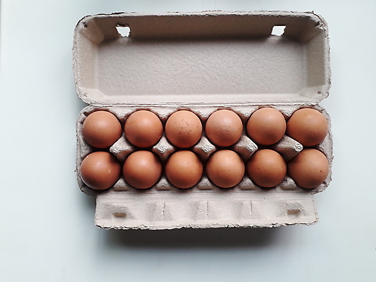 포토 JPG 해외이미지 백그라운드 재료 자연 부활절 건강 요리 안전 사람없음 농장 계란 치킨 신선 그룹 아침식사 유기농 날것 건강식 내추럴 단백질 해외202007 해외포토 웰빙 기념일 음식 농업 알 식사 생태계 닭고기요리 영양소 파일형식