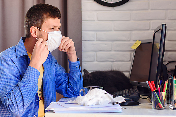 포토 JPG 해외이미지 백인 남자 비즈니스 피곤 마스크 한명 사람 성인 컴퓨터 모니터 고양이 고통 키보드 바이러스 질병 재택근무 러시아인 프리랜서 남자한명만 성인남자한명만 코로나바이러스 포스트코로나 해외202007 델타변이바이러스 해외포토 서양인 직업 1 감정 컨셉 포유류 의학 전자제품 반려동물 사회이슈 남자만 성인남자만 파일형식