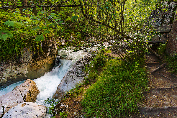 포토 JPG 해외이미지 나무 식물 여행 잎 자연 동화 요정 숙이기 이끼 사람없음 초록색 물 여름 달리기 일몰 봄 산책 트래킹 하이킹 낭만 에너지 안개 가을 나뭇가지 개울 숲 신비 오솔길 무서움 비밀 먼지떨이 입장 알프스 뿌리 마법 깊이 돌봄 방법 해외202007 해외포토 자연요소 계절 감정 유럽 길 컬러 포즈 컨셉 모션 레저 날씨 휴식 강 노을 청소도구 생태계 파일형식