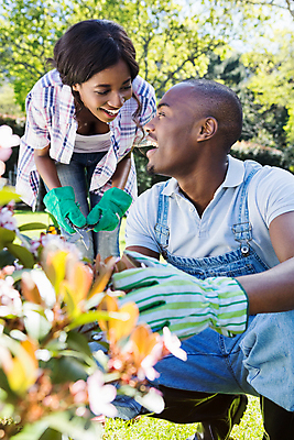 포토 JPG 해외이미지 식물 응시 여자 남자 행복 함께함 웃음 20대 성인 취미 야외 두명 농장 정원 맑음 원예 정원가꾸기 소통 성인만 정확 해외202007 해외포토 시선 감정 컨셉 농업 날씨 표정 사람 청년 파일형식