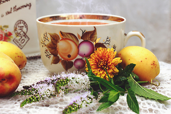 포토 JPG 해외이미지 꽃 근접촬영 사람없음 컵 식탁보 찻잔 살구 해외202007 해외포토 식물 식기 뷰포인트 과일 잔 파일형식