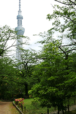 포토 JPG 해외이미지 나무 식물 공원 꽃 도로 길 사람없음 건물 목재 세로 초록색 탑 정원 일본 봄 도쿄 오솔길 은퇴 해외202007 해외포토 건축물 계절 공공시설 아시아 컬러 재료 교통시설 파일형식