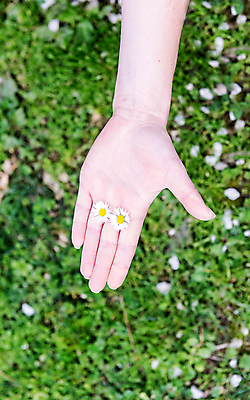 포토 JPG 해외이미지 식물 손 계절 꽃 지구 백그라운드 꽃무늬 밭 자연 건강 관리 손바닥 사람 잔디 사람없음 초록색 여름 노란색 봄 벚꽃 흰색 시골 신선 잡기 닫기 피부 데이지 아로마테라피 내추럴 돌봄 캐모마일 해외202007 해외포토 컬러 무늬 농업 모션 신체부위 허브 생태계 테라피 파일형식