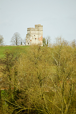 포토 JPG 해외이미지 나무 사람없음 야외 세로 언덕 유지 수평선 해외202007 해외포토 식물 파일형식