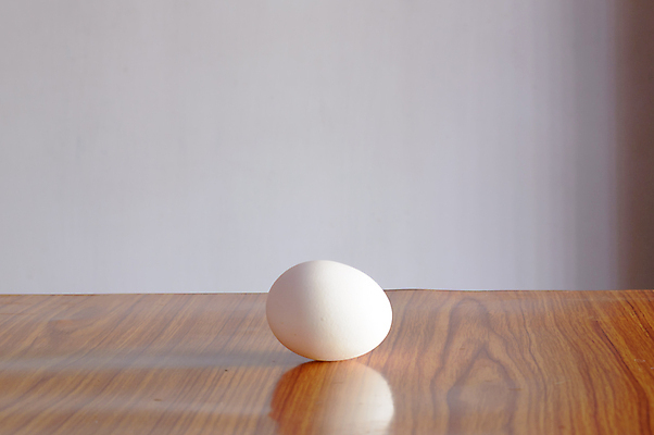 포토 JPG 해외이미지 모양 음식 백그라운드 일러스트 재료 아침 디저트 부활절 그림자 요리 사람없음 여름 한개 3D 계란 저녁식사 신선 아침식사 플라스틱 흰배경 유기농 섬유 아보카도 건강식 단백질 삶기 카피스페이스 해외202007 해외포토 주간 1 웰빙 계절 기념일 과일 재질 알 식사 공백 흰색 직물 디지털합성 영양소 파일형식