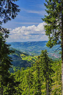 포토 JPG 해외이미지 나무 구름 계절 유럽 밭 자연 산 주택 안테나 풍경 초원 사람없음 야외 초록색 여름 파란색 마을 계곡 하이킹 시골 소나무 정상 숲 휴양지 루마니아 국경 해외202007 해외포토 자연요소 식물 나라 컬러 농업 통신 레저 건물 장소 생태계 파일형식