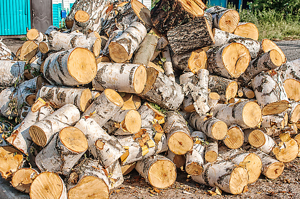 포토 JPG 해외이미지 나무 백그라운드 부분 자연 건조 따뜻함 사람없음 야외 목재 갈색 쌓기 환경 흰색 시골 그룹 장작 자르기 오브젝트 통나무 나무껍질 자작나무 흙더미 다리찢기 내추럴 수목 해외202007 해외포토 식물 컬러 재료 모션 흙 껍질 생태계 파일형식 더미