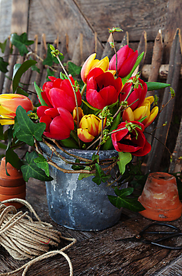 포토 JPG 해외이미지 꽃 화분 꽃다발 꽃무늬 발렌타인데이 사람없음 목재 세로 컬러풀 봄 튤립 수확 나뭇가지 시골 생일 원예 아이비 노끈 심기 어머니의날 해외202007 해외포토 나무 식물 계절 기념일 줄 컬러 무늬 농업 재료 모션 데이이벤트 취미 미국문화 파일형식