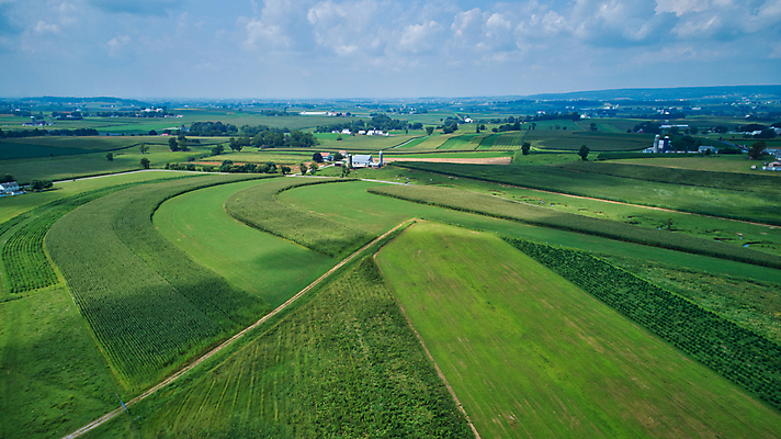 포토 JPG 해외이미지 나무 식물 구름 계절 산업 음식 잎 밭 농업 자연 하늘 안테나 옥수수 풍경 초원 사람없음 야외 초록색 여름 파란색 농작물 태양 농장 농경지 일출 환경 일몰 봄 수확 성장 시골 낟알 땅 밀 유기농 장면 내추럴 외양간 드론 밭일 줄서기 세련 해외202007 해외포토 자연요소 웰빙 컬러 통신 모션 곡류 노을 생태계 파일형식