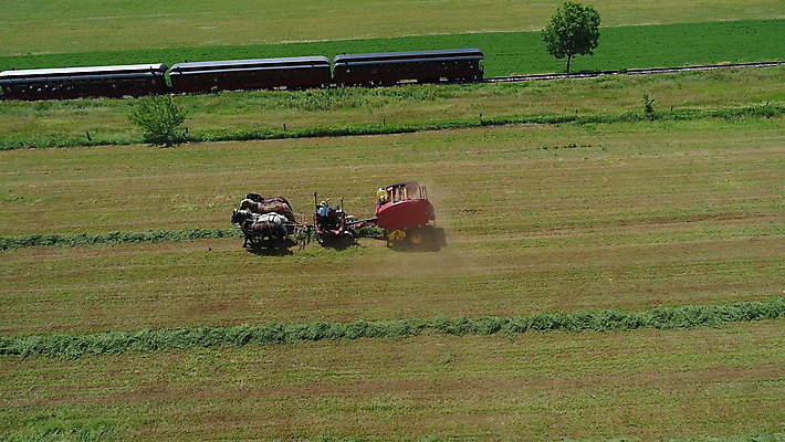 포토 JPG 해외이미지 식물 모자 전통 음식 밭 농업 자연 안테나 사람 풍경 사람없음 야외 초록색 농작물 농장 농경지 흙 수확 가을 시골 업무 당기기 농부 땅 복고 트랙터 드론 밭일 조감도 해외202007 해외포토 직업 잡화 계절 산업 컬러 통신 모션 작업 농기계 생태계 특수차량 파일형식