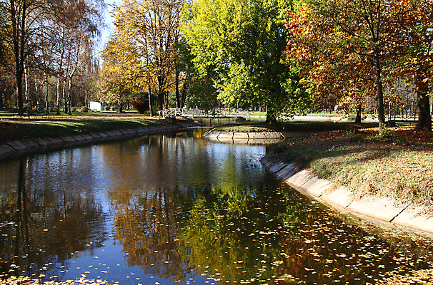 포토 JPG 해외이미지 나무 계절 공원 여행 잎 벤치 자연 풍경 사람없음 야외 가로 컬러풀 반사 갈색 노란색 정원 가을 연못 시간 황금 숲 오솔길 해외202007 해외포토 식물 공공시설 길 컬러 의자 생태계 파일형식