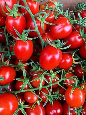 포토 JPG 해외이미지 식물 음식 백그라운드 잎 농업 다이어트 토마토 채소 과일 재료 자연 건강 요리 사람없음 빨간색 초록색 빛 식사 활발 샐러드 성장 흰색 신선 원형 시장 맛 케첩 먹기 오브젝트 싱글 유기농 원예 날것 내추럴 고립 숙성 영양분 채식주의자 맛있는 해외202007 해외포토 도형 웰빙 산업 컬러 컨셉 모션 취미 소스_음식 생태계 채식 파일형식