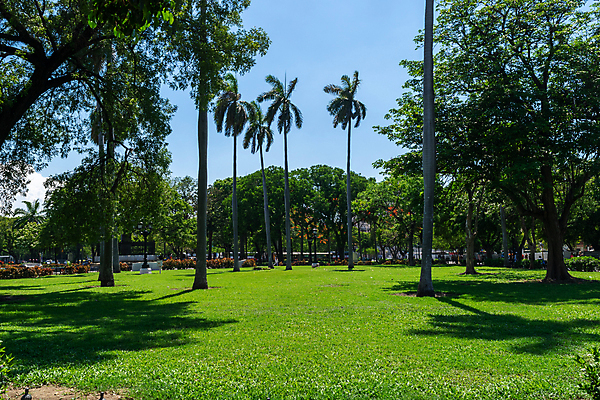 포토 JPG 해외이미지 나무 실루엣 바다 백그라운드 오렌지 자연 하늘 아침 불 휴가 손바닥 풍경 사람없음 빨간색 물 여름 파란색 빛 세트 햇빛 노란색 평화 일출 일몰 새벽 흰색 저녁 수집 캘리포니아 내추럴 로스앤젤레스 고립 이국적 해외202007 해외포토 주간 자연요소 식물 손 계절 컬러 컨셉 과일 촬영기법 태양 노을 미국 야간 생태계 파일형식