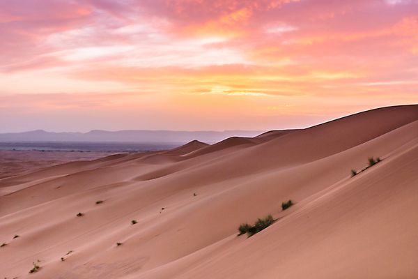 포토 JPG 해외이미지 모래 여행 백그라운드 오렌지 아프리카 자연 하늘 건조 풍경 사람없음 야외 노란색 일몰 사막 뜨거움 모래언덕 언덕 낙타 모로코 사하라 아랍어 해외202007 해외포토 나라 컬러 과일 포유류 노을 생태계 파일형식