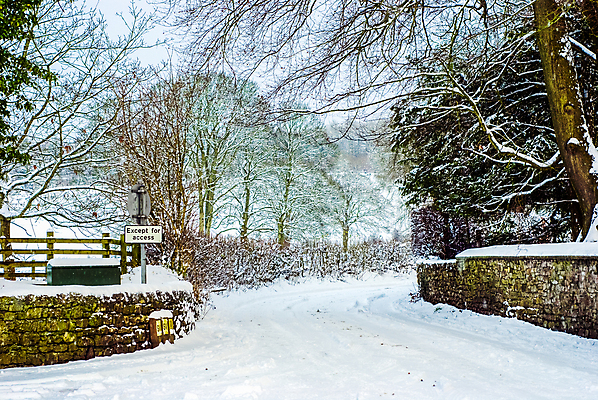 포토 JPG 해외이미지 나무 공원 도로 여행 백그라운드 겨울 곡선 교통시설 자연 하늘 풍경 사람없음 목재 태양 냉동 얼음 운전 추위 흰색 소나무 고속도로 숲 방법 눈내림 해외202007 해외포토 자연요소 식물 계절 공공시설 길 선 컬러 교통 재료 모션 눈_날씨 시설 생태계 파일형식