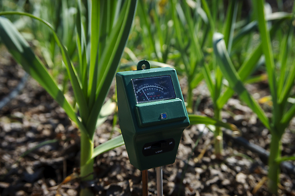 포토 JPG 해외이미지 식물 산업 선 백그라운드 잎 밭 농업 자연 사람없음 초록색 농작물 햇빛 농장 농경지 환경 정원 흙 봄 장비 젖음 수확 성장 시골 수분 땅 측정 유기농 원예 계량기 내추럴 땅바닥 모종 묘목 바이오 밭일 생태학 세련 해외202007 해외포토 나무 웰빙 계절 교육 컬러 바닥 취미 태양 생태계 파일형식