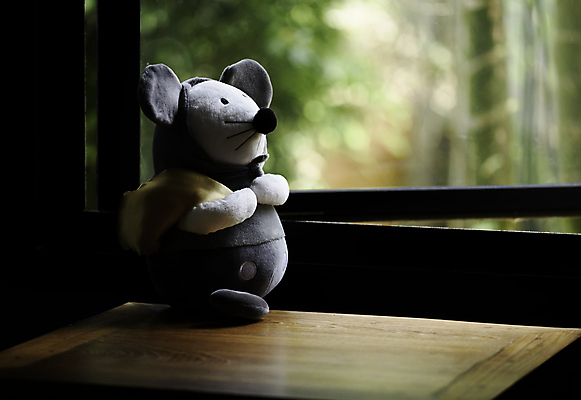 포토 JPG 해외이미지 동물 1 디자인 감정 어린이 벽 백그라운드 컨셉 창문 곰 탁자 아침 털 실내 선물 사랑 미술 앉기 사람없음 목재 빛 장난감 갈색 우정 방 낭만 아기 달콤 쥐 작음 시원함 향수 복고 보케 부드러움 솜털 카피스페이스 해외202007 해외포토 주간 나무 컬러 가구 재료 포유류 모션 문화예술 사람 내부 친구 화장품 공백 감각 맛 설치류 크기 파일형식