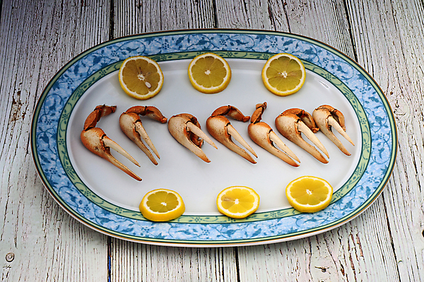 포토 JPG 해외이미지 동물 전통 음식 바다 조각 다이어트 조개 건강 갑각류 요리 사람없음 식당 게 껍질 신선 스페인 맛 지중해 레몬 해산물 준비 내추럴 발톱 삶기 식품점 안달루시아 집게발 핸드메이드 맛있는 해외202007 해외포토 유럽 컨셉 과일 발 어패류 상점 파일형식