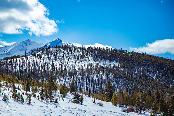 포토 JPG 해외이미지 나무 구름 겨울 자연 하늘 휴가 산 풍경 경사 사람없음 야외 초록색 파란색 얼음 추위 흰색 소나무 숲 서리 흐림 내추럴 콜로라도 로키산맥 산맥 해외202007 해외포토 자연요소 식물 계절 컬러 날씨 미국 생태계 파일형식