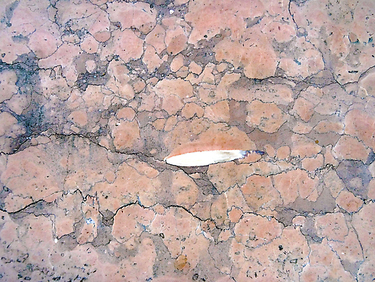 포토 JPG 해외이미지 백그라운드 패턴 표면 사람없음 장식 빨간색 이탈리아 닫기 묘사 질감 알프스 대리석 베로나 석회암 지질학 해외202007 해외포토 교육 유럽 컬러 무늬 재료 모션 암석 파일형식