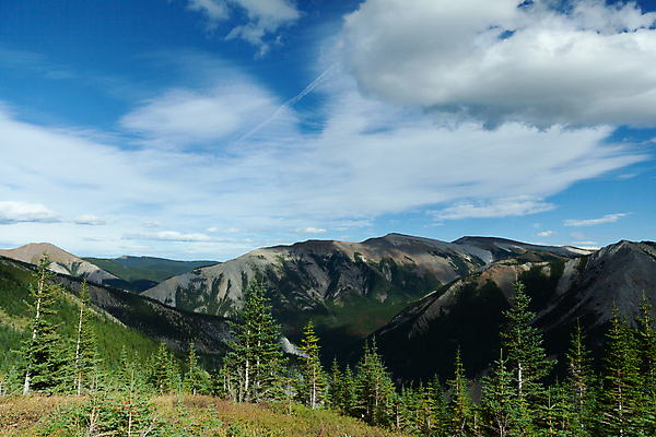 포토 JPG 해외이미지 구름 공원 여행 캐나다 자국 자연 하늘 휴가 산 파노라마 풍경 사람없음 야외 초록색 여름 하이킹 소나무 정상 숲 언덕 앨버타 전국 절정 로키산맥 해외202007 해외포토 자연요소 나무 계절 공공시설 컬러 북아메리카 레저 촬영기법 생태계 파일형식