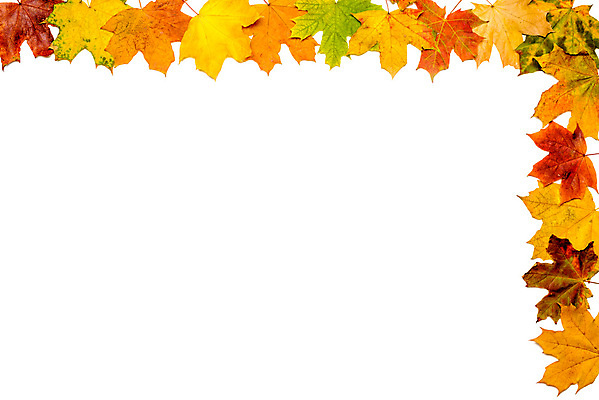 포토 JPG 해외이미지 디자인 계절 백그라운드 단풍 잎 오렌지 자연 프레임 사람없음 장식 빨간색 초록색 컬러풀 노란색 활발 가을 흰색 황금 숲 9월 10월 고립 국경 해외202007 해외포토 식물 컬러 컨셉 과일 날짜 생태계 파일형식