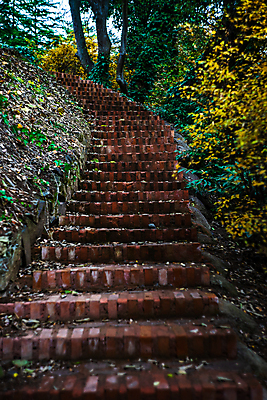 포토 JPG 해외이미지 나무 식물 공원 길 여행 단풍 잎 자국 자연 아침 산 이끼 풍경 사람없음 야외 목재 초록색 햇빛 태양 계단 일몰 활발 하이킹 광선 가을 바위 개울 황무지 숲 버리기 브런치 격려 상록수 침엽수 단계 양치류 해외202007 해외포토 주간 자연요소 계절 공공시설 감정 컬러 컨셉 재료 모션 레저 강 노을 식사 돌_바위 생태계 파일형식