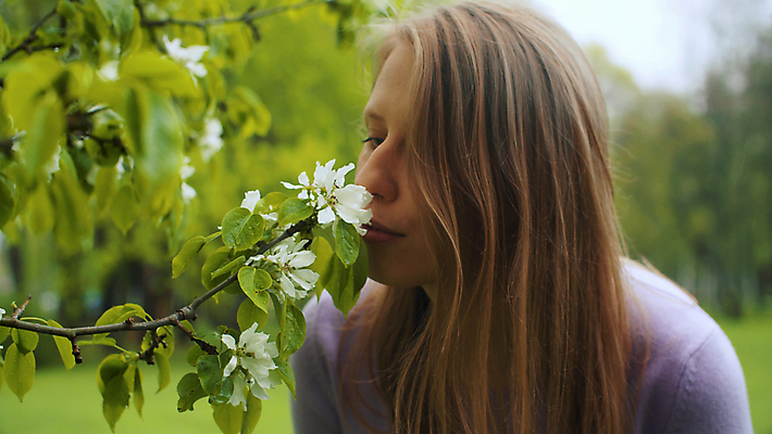 포토 JPG 해외이미지 나무 백인 라이프스타일 공원 여자 꽃잎 꽃 행복 얼굴 컨셉 자연 한명 서기 성인 야외 초록색 봄 벚꽃 흰색 신선 개화 닫기 사과 긍정 내추럴 진짜 해외202007 해외포토 서양인 식물 1 계절 공공시설 감정 컬러 과일 모션 사람 생활 신체부위 생태계 파일형식