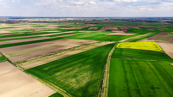 포토 JPG 해외이미지 계절 산업 음식 패턴 밭 농업 자연 풍경 사람없음 야외 농작물 농장 농경지 마을 환경 수확 성장 시골 낟알 땅 원예 장면 기하학 드론 밭일 생태학 조감도 세련 해외202007 해외포토 교육 무늬 취미 생태계 파일형식