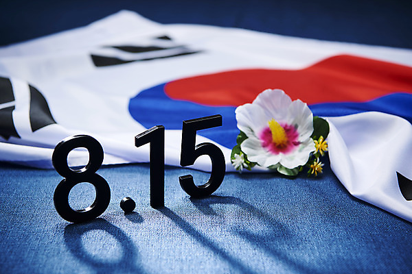 포토 JPG 스튜디오촬영 기념일 실내 사람없음 자유 태극기 국경일 오브젝트 파란배경 무궁화 광복절 정부수립 국내포토 꽃 백그라운드 컨셉 이벤트 내부 파란색 공휴일 국기 광복 파일형식